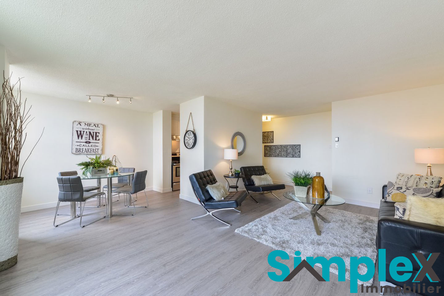 Appartement rénové avec aire de vie claire et bien aménagée